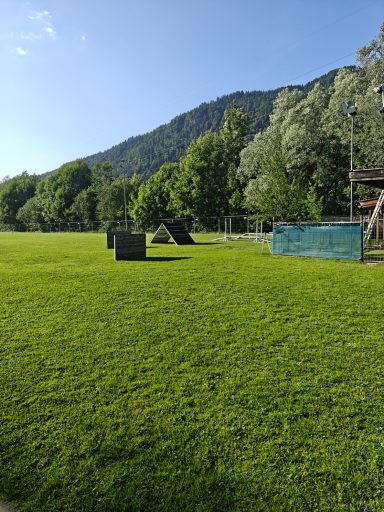 Hundeplatz-01